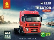 SINOTRUK WANGPAI